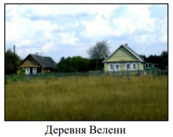 %D0%A1%D0%BD%D0%B8%D0%BC%D0%BE%D0%BA%20%