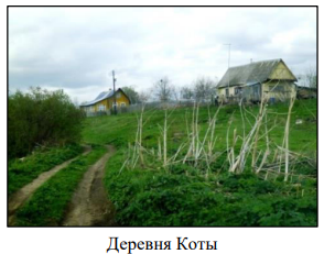 %D0%A1%D0%BD%D0%B8%D0%BC%D0%BE%D0%BA%20%